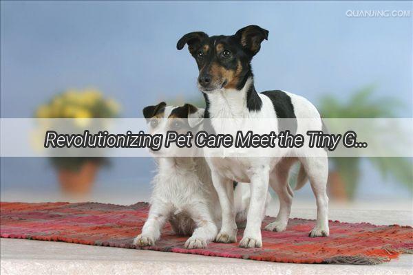 Revolutionizing Pet Care Meet the Tiny Grooming Wonder  The Fluffy Paws Pet Brush